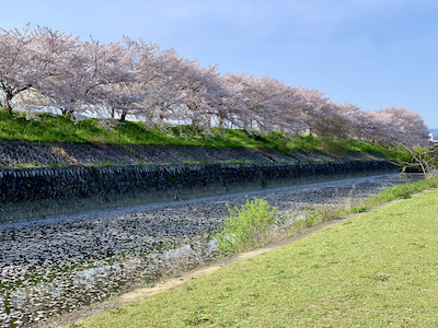 Medium記事のアイキャッチ画像